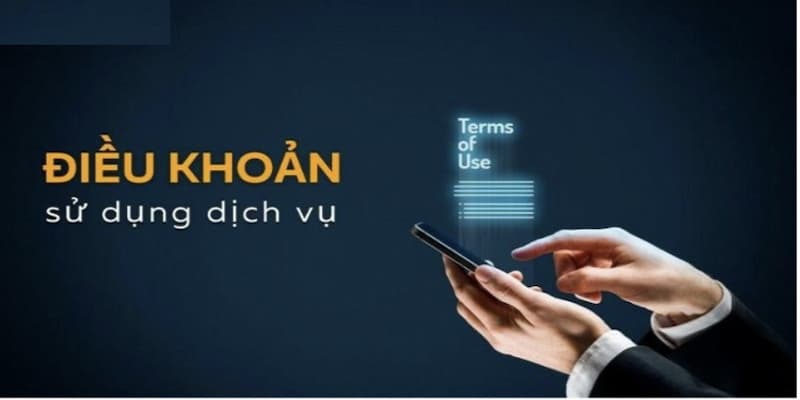 Chi tiết điều khoản điều kiện cần nắm bắt cập nhật 2025