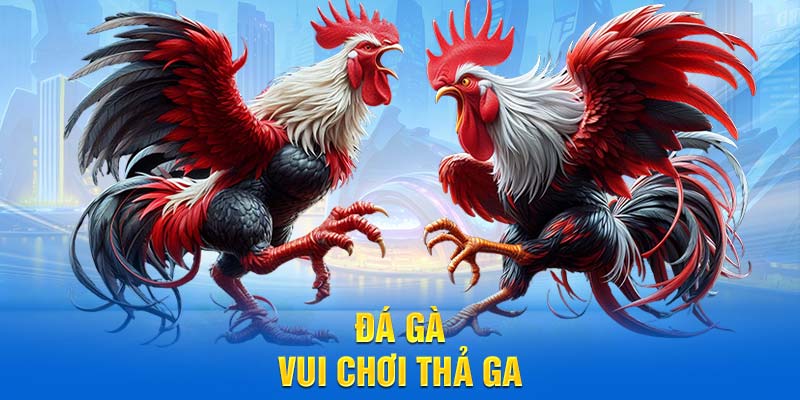 Đá gà vui chơi thả ga